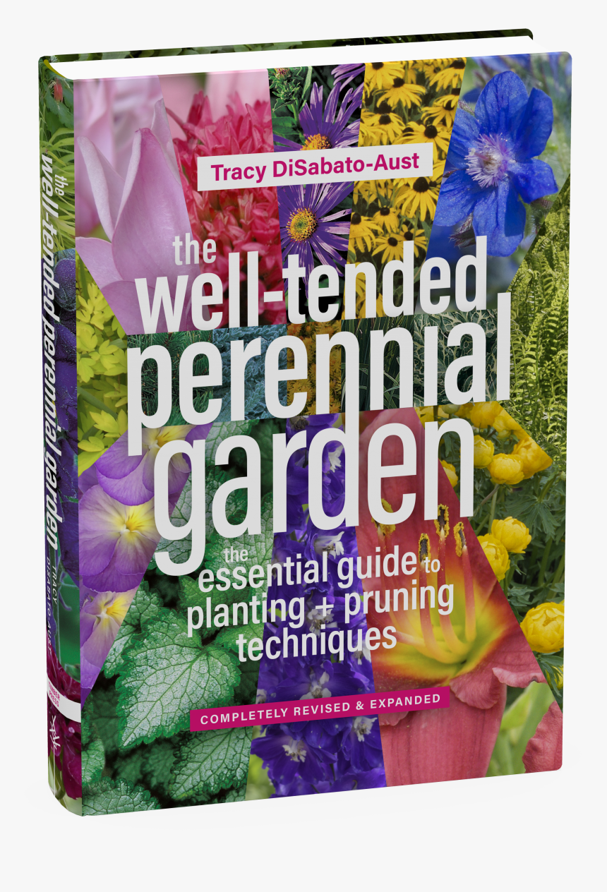 Cover - Anthurium, HD Png Download