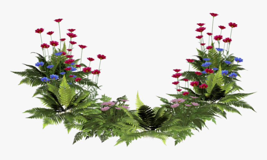 Png Plants With Flower, Transparent Png