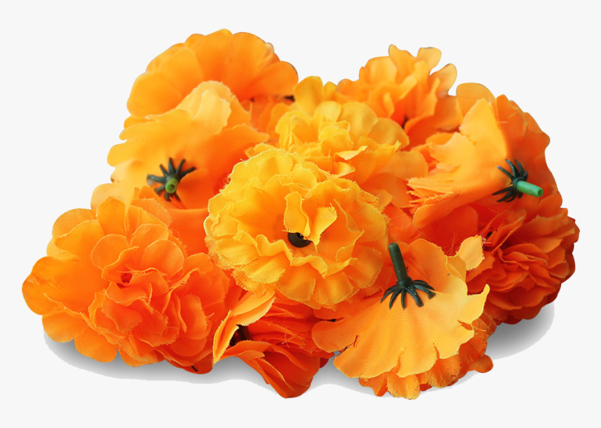 Marigold Png Transparent Image - Transparent Marigold Flower Png, Png Download