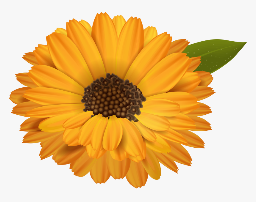Orange Flower Transparent Clip Art Image - Orange Flower Clipart Transparent, HD Png Download