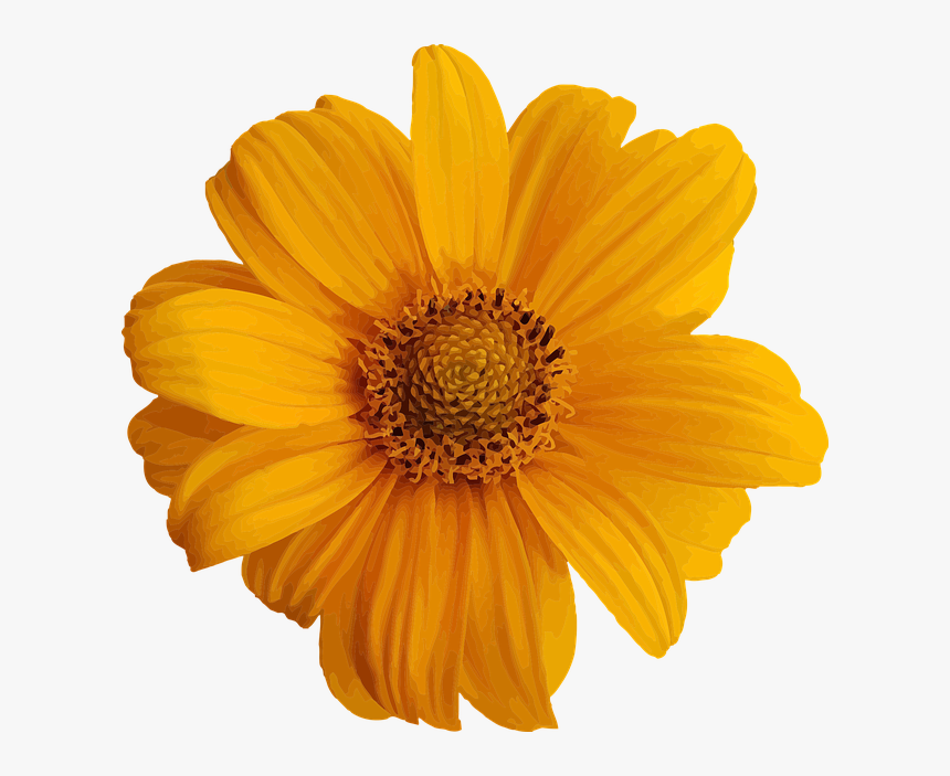 Cute Yellow Flower Stickers, HD Png Download