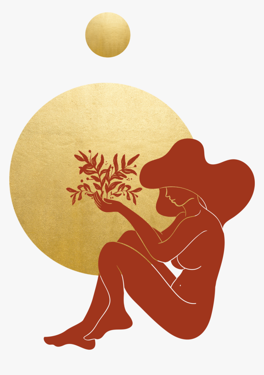 Marigold Artistic C Clay - Illustration, HD Png Download