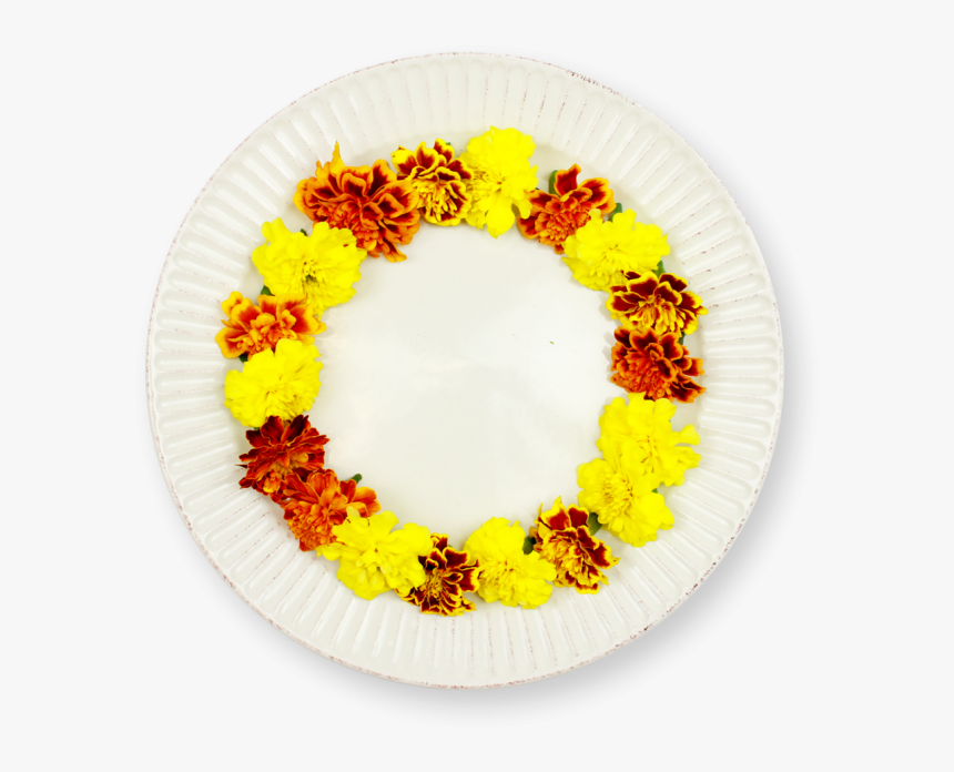 Circle, HD Png Download