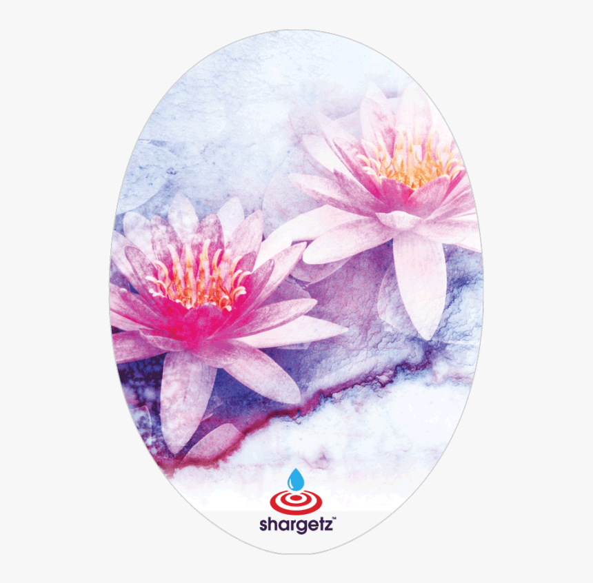 Water Lily, HD Png Download