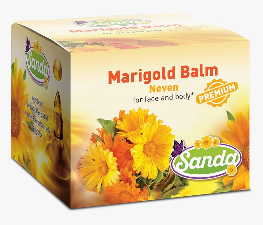 English Marigold, HD Png Download