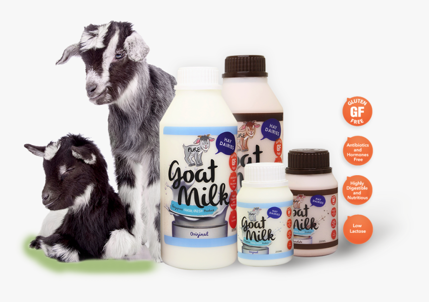 Goat Milk Dairy Farm, HD Png Download