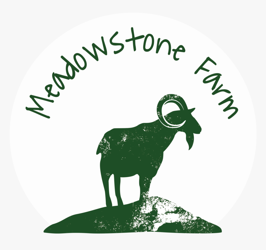 Pastured Animals Meadowstone Farm - Bighorn, HD Png Download
