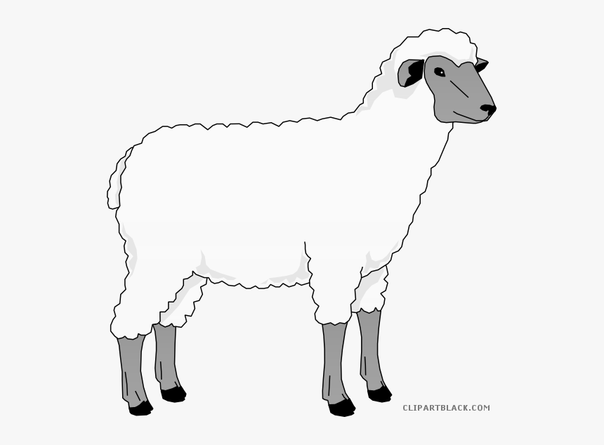 Sheep Clip Art Clipart Goat Merino Clip Art - Ingenieria Genetica Experimenta Con Celulas Madre, HD Png Download