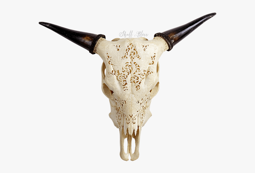 Cow Skull Png - Horn, Transparent Png