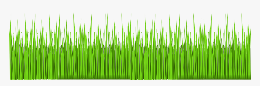 Grass, Green, Lawn, Garden, Nature, Summer, Spring - การ์ตูน กราฟฟิก รูป หญ้า, HD Png Download