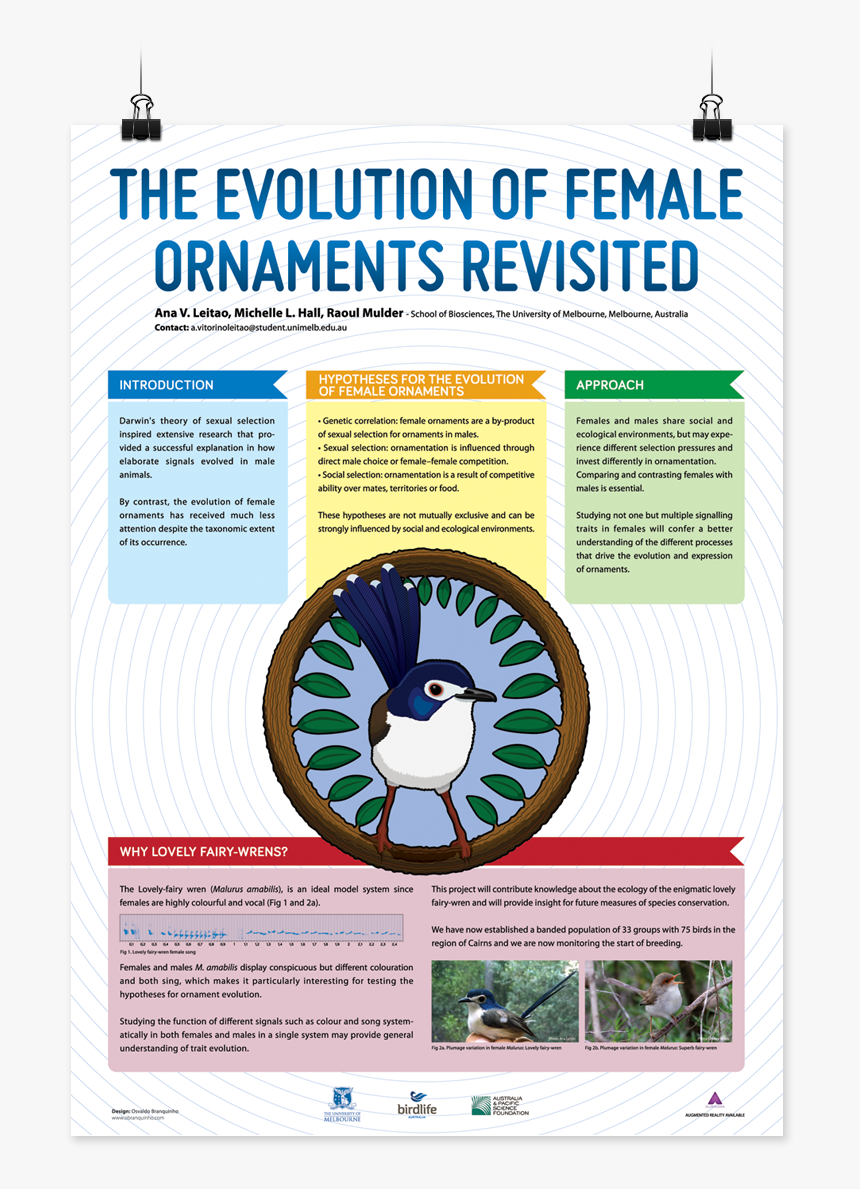 Ny Rangers, HD Png Download