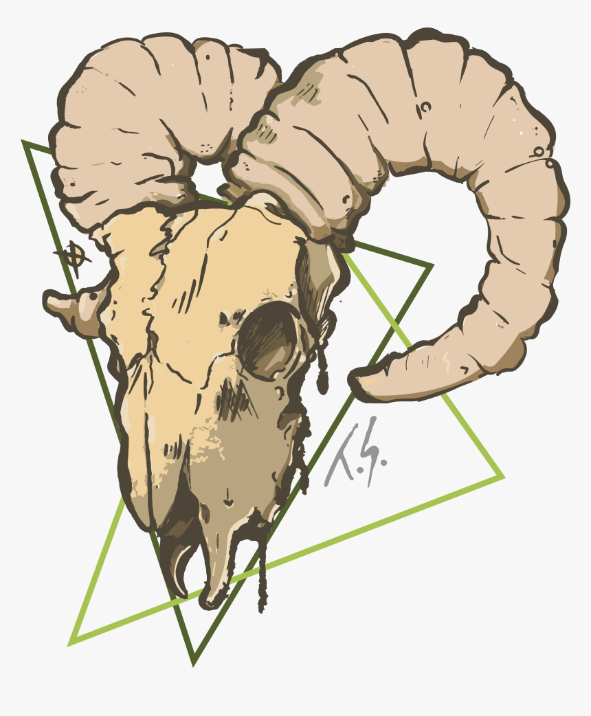 Transparent Goat Skull Clipart - Illustration, HD Png Download