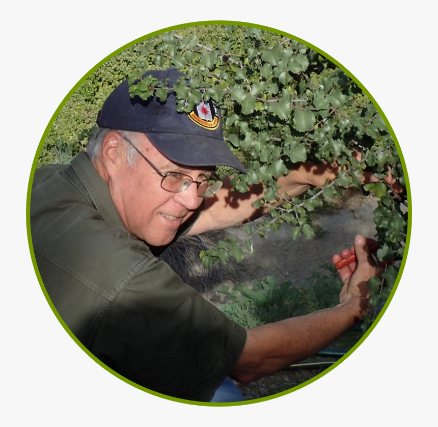 Grass, HD Png Download