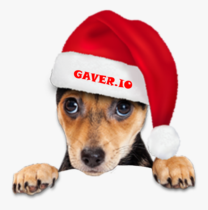 Companion Dog, HD Png Download