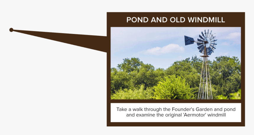 American Pitch Pine, HD Png Download