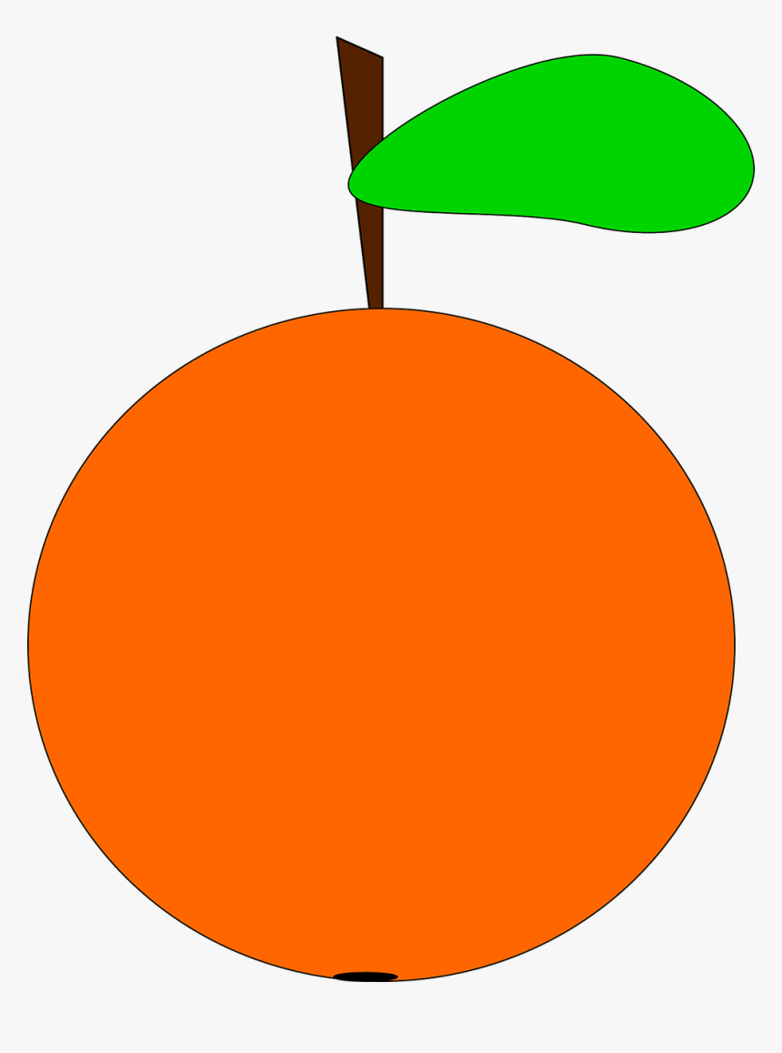 Leaf,food,circle - Orange Png Cartoon, Transparent Png
