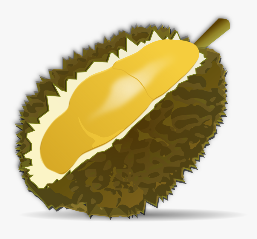 Durian Fruit Clip Art, HD Png Download