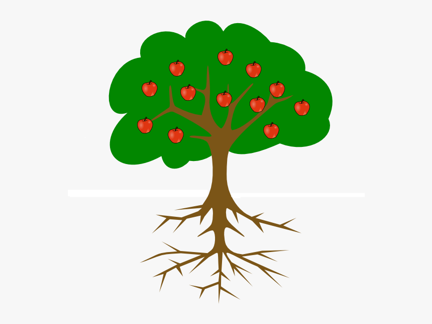 Tree Drawing With Fruits, HD Png Download