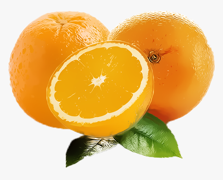 Orange Fruit Clipart Png Free Download Searchpng - Clementine, Transparent Png