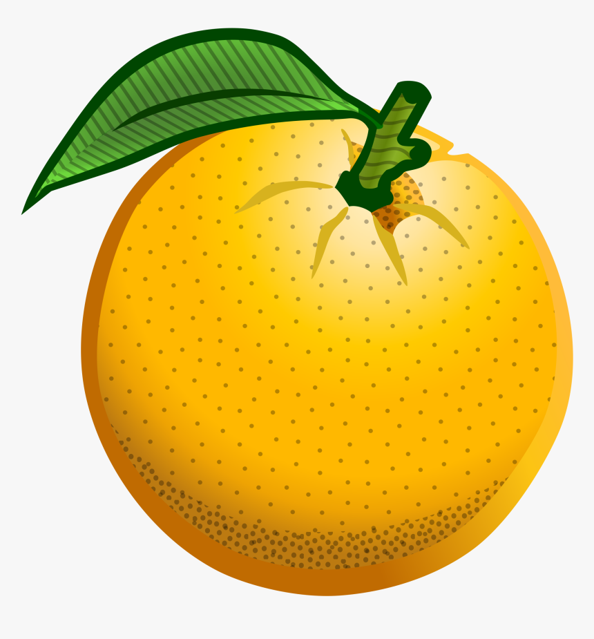 Clip Art Orange With Images Medium Size - Orange Colored Clip Art, HD Png Download