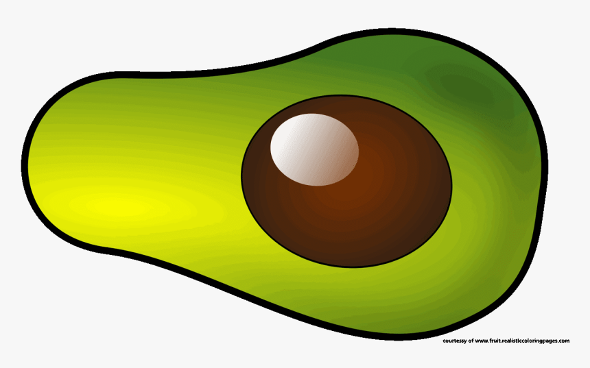Avocado Clipart Free Download - Fruit Clipart, HD Png Download