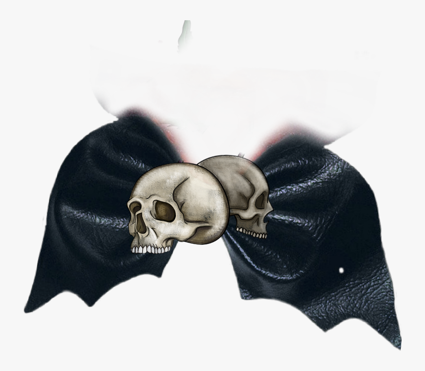 #batbow #bat #bow #bows #hairbow - Skull, HD Png Download