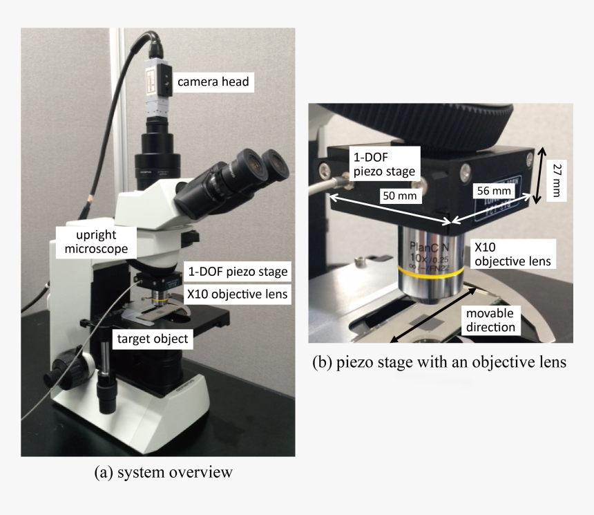 Motion Blur Free Microscope - Microscope, HD Png Download