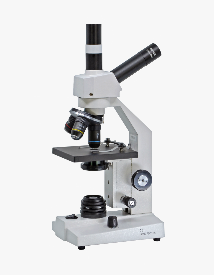 Microscope Bms 200 Fl Led - Microscoop, HD Png Download