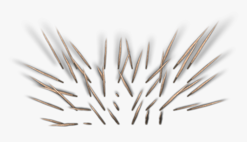 Brush, HD Png Download