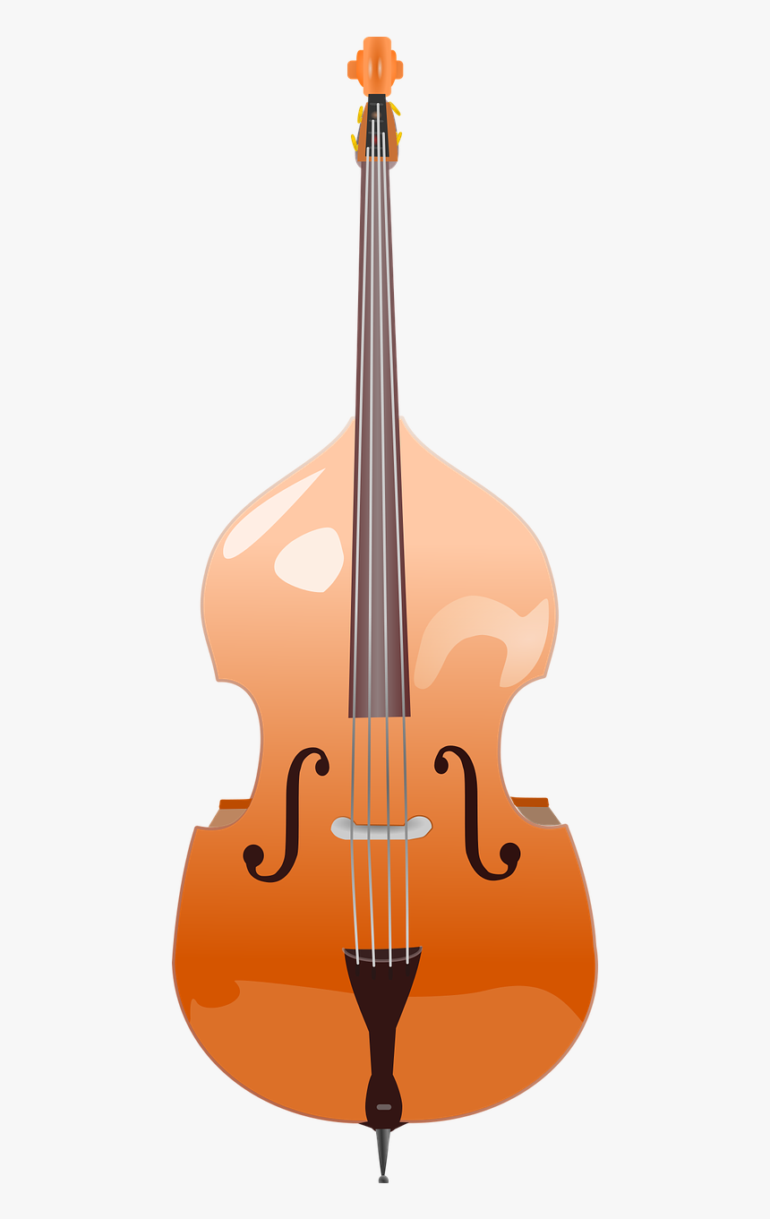 Kontrbas Png, Transparent Png