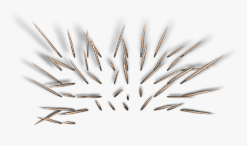 Close-up, HD Png Download