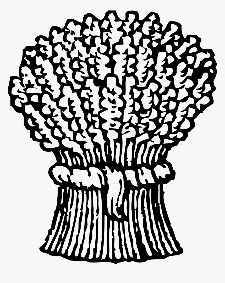 Wheat Clip Art, HD Png Download