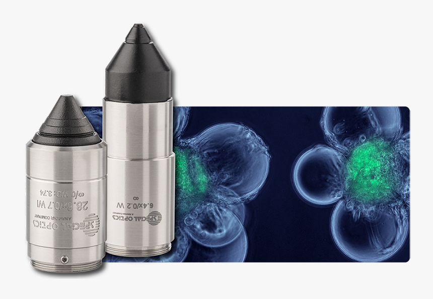 Areas Of Biomedical Specializations, HD Png Download