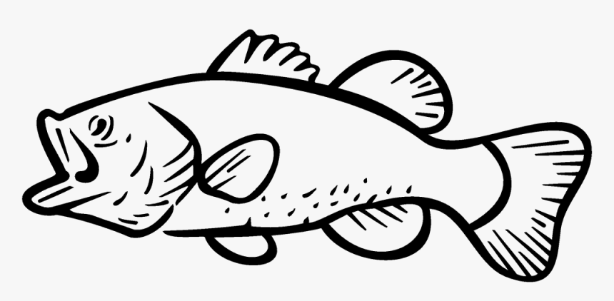Bass Fishing Largemouth Bass Clip Art - Largemouth Bass Clip Art, HD Png Download