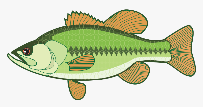 Clip Art Fish Bass, HD Png Download