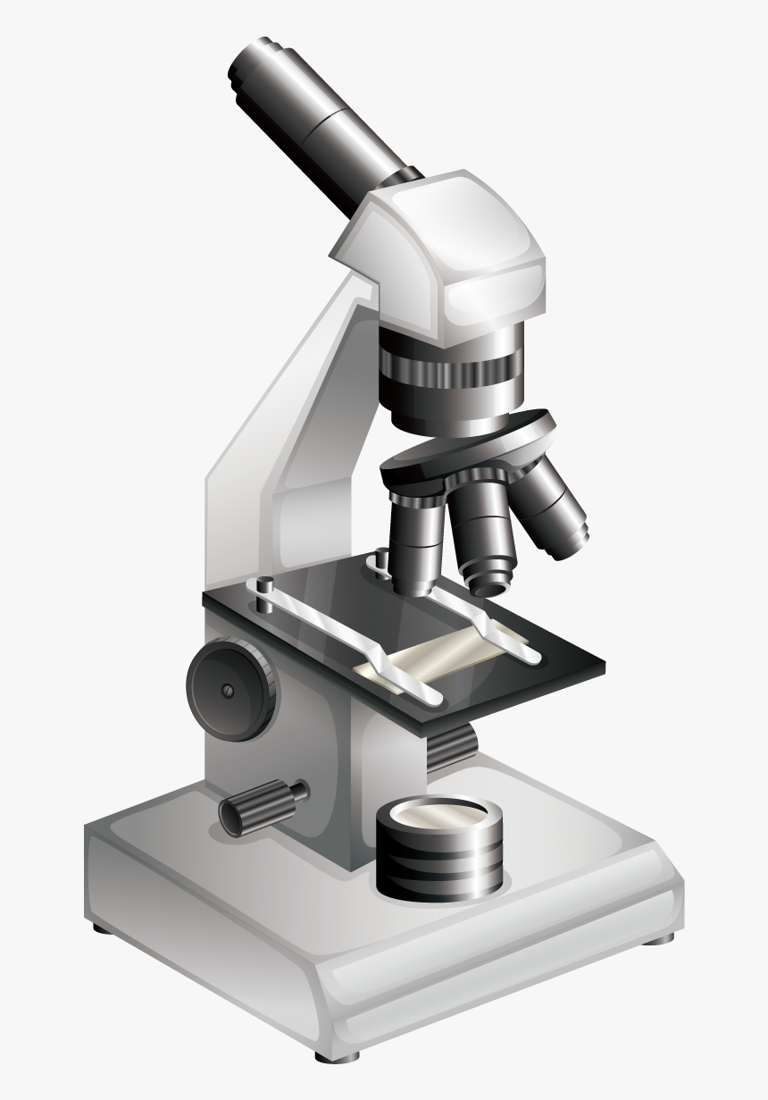 Microscope Bacteria Clip Art - Microscopic Png, Transparent Png