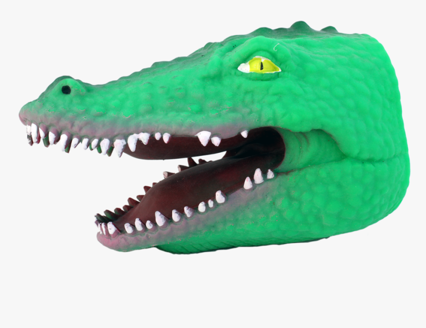 American Crocodile, HD Png Download