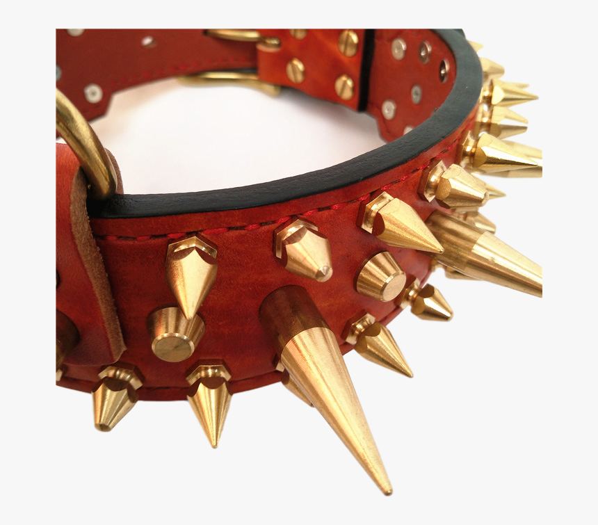 Dog Collar Gold Spikes Hd Png Download Transparent Png Image Pngitem