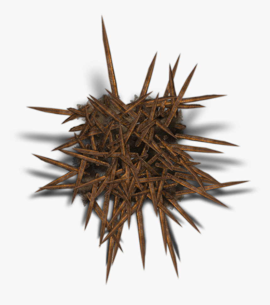 Wood, HD Png Download