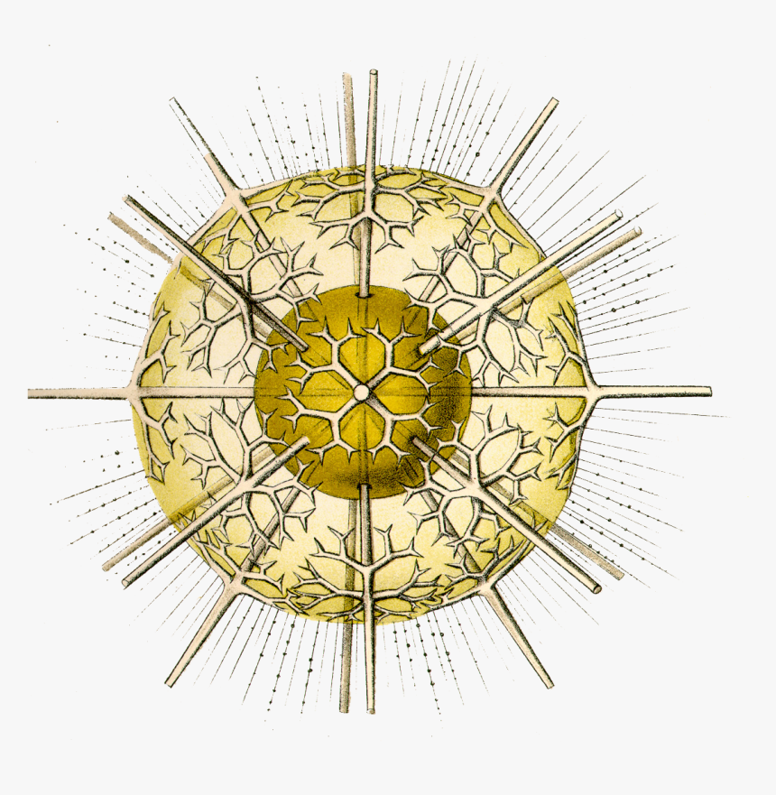 Starburst Wall Clock Steel, HD Png Download