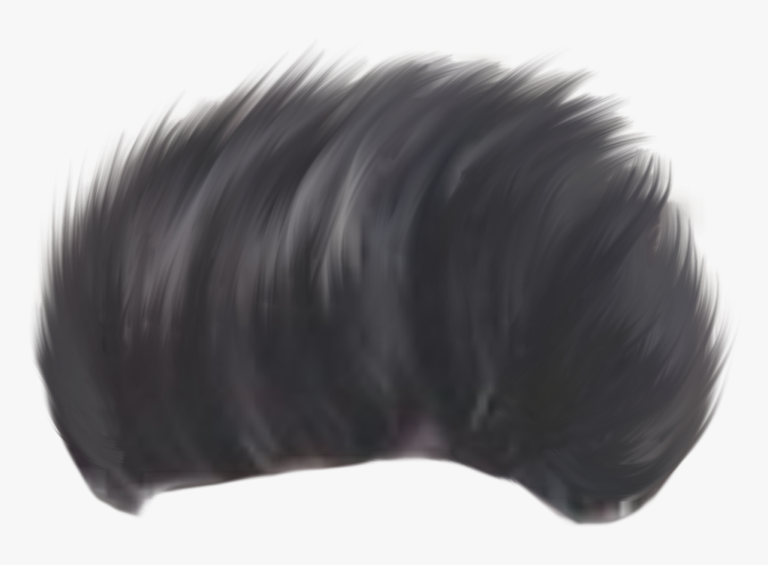 Lace Wig, HD Png Download