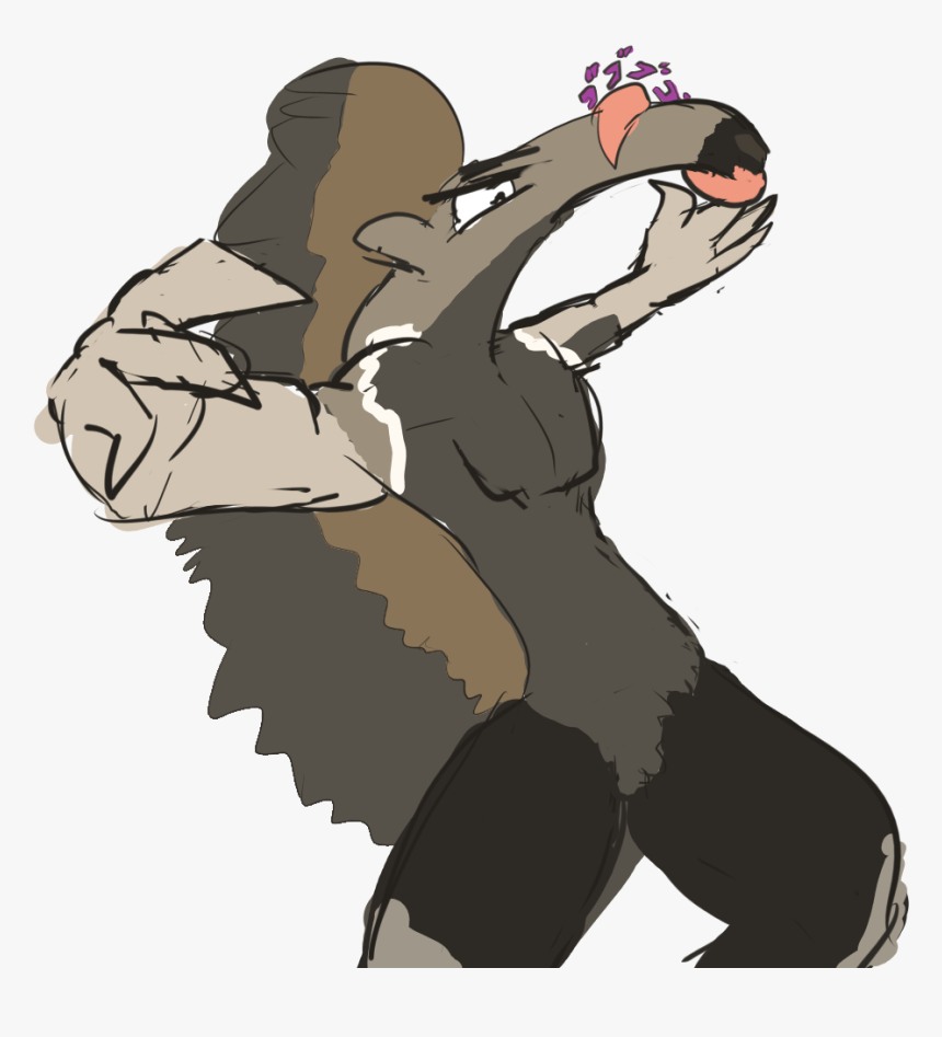 An Anteater Jojo - Cartoon, HD Png Download
