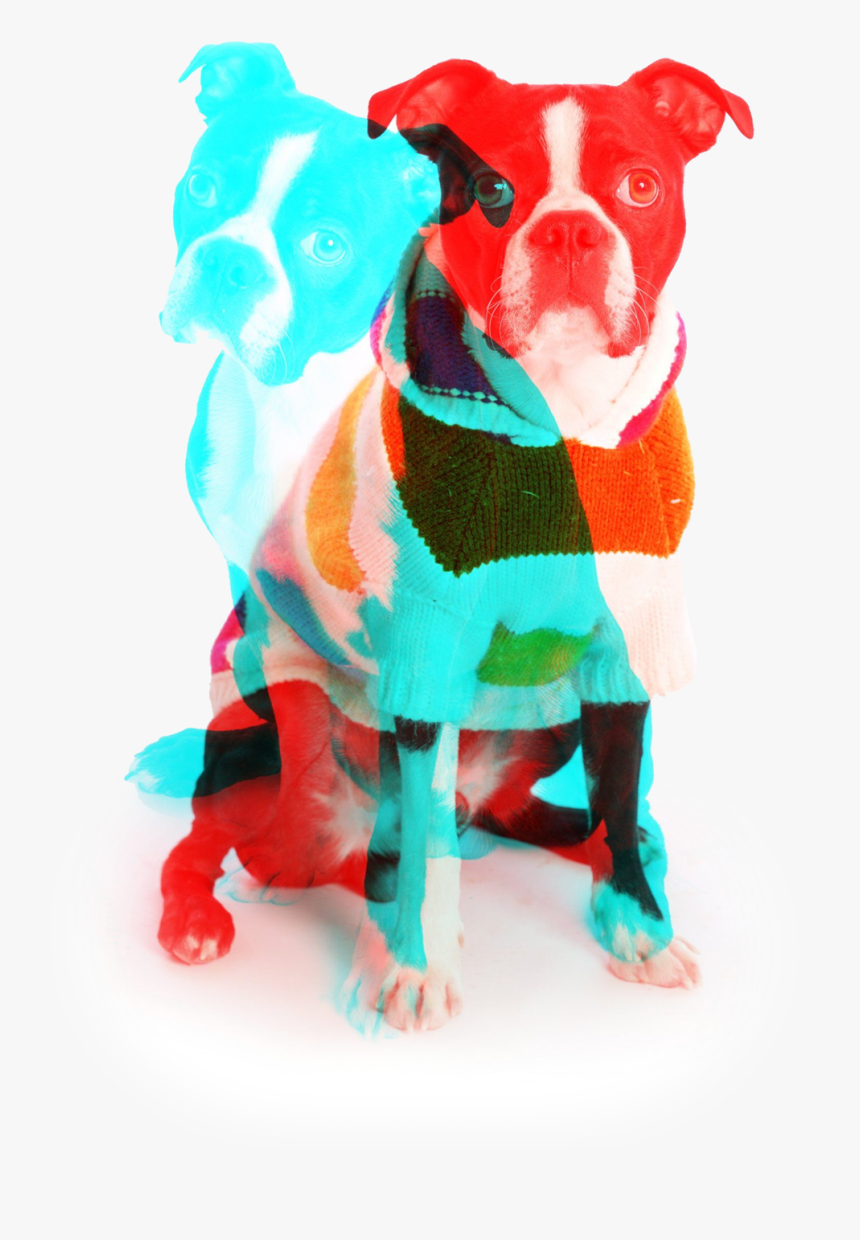 Companion Dog, HD Png Download