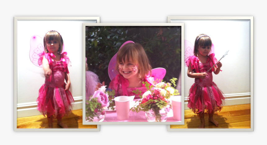 Common Peony, HD Png Download