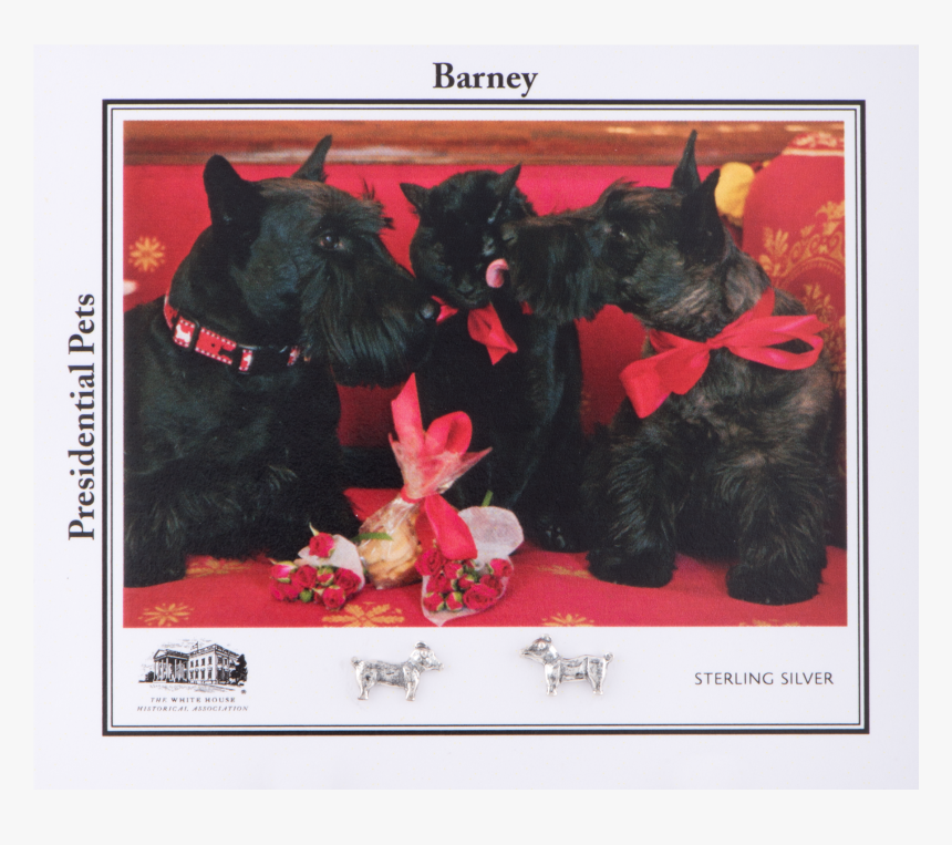 Barney And Miss Beazley, HD Png Download