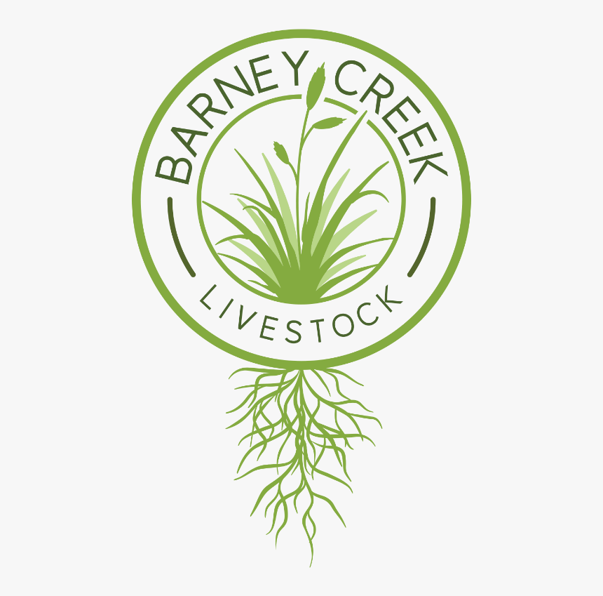Barney Creek Logo Color - No 1 Trusted Brand, HD Png Download