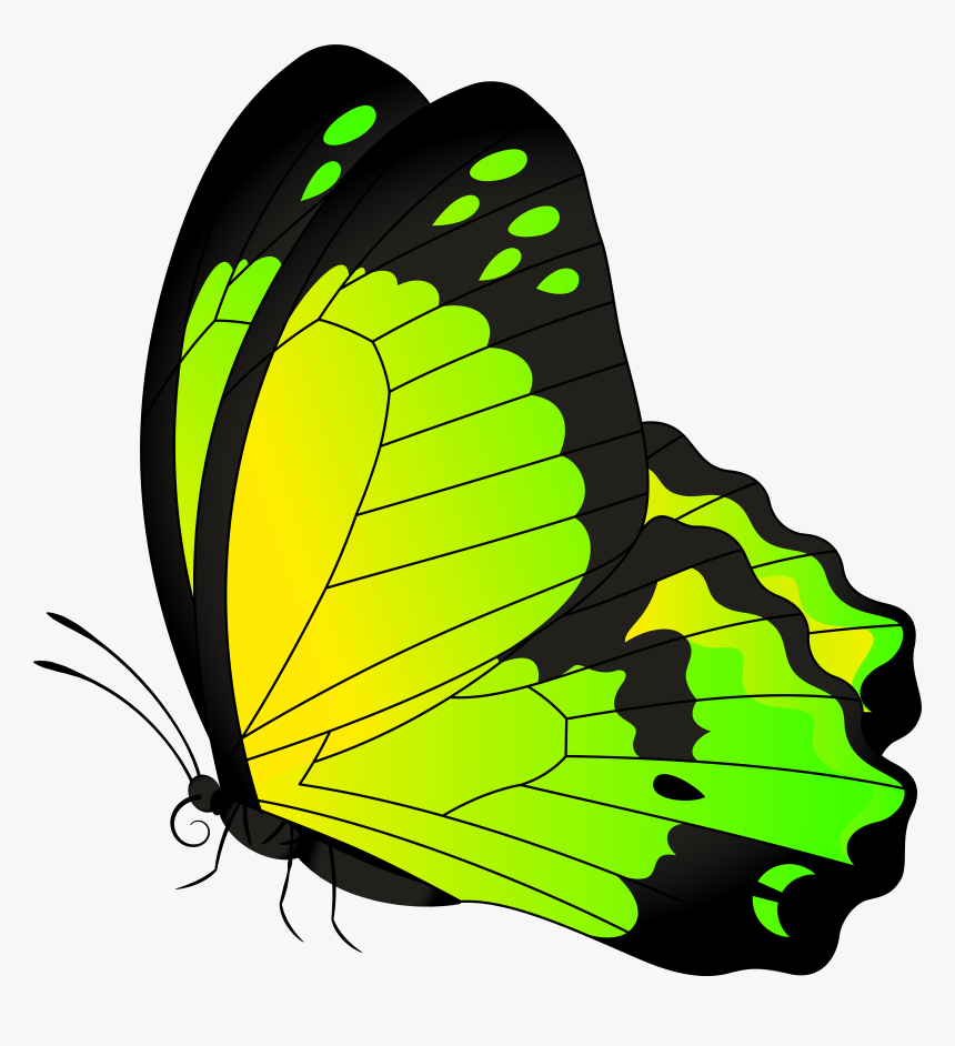 Transparent Butterfly Border Clipart - Butterfly Png Photo Green, Png Download