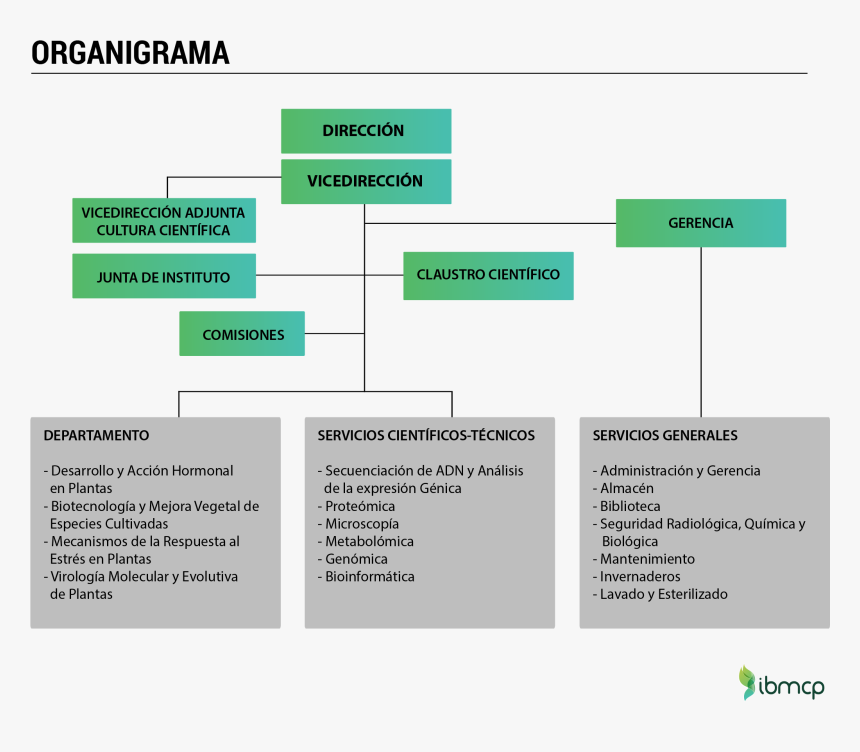 Organigrama Ibmcp, HD Png Download