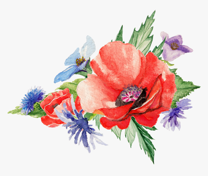 Watercolor Flowers Poppy Art Painting - Transparent Poppy Flower Watercolor, HD Png Download
