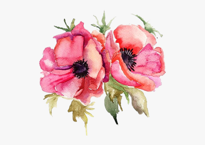 #poppyflower #poppy #pngstickers #png #watercolor #illustration - Beautiful Message For Wife On Birthday, Transparent Png